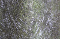 Tilstone Fearnall fibreglass roof work